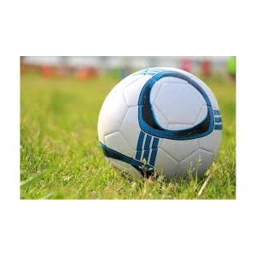 美加墨世界杯(官方中文网站) - -2026WorldCup