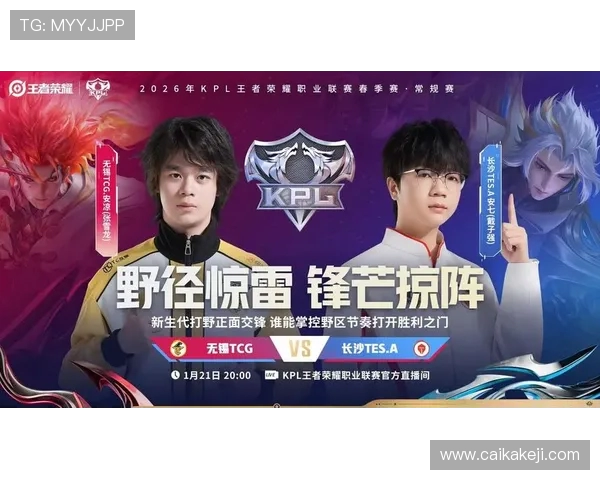 王者荣耀耐力排行榜揭晓TES战队荣登榜首引发热议