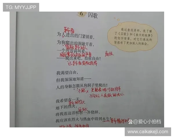 史鸿飞的传奇人生与时代变迁中的奋斗故事